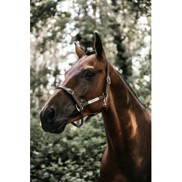 Licol Flexible Kentucky Licol Flexible Kentucky