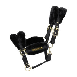 Licol Nylon mouton Soft Kentucky Noir