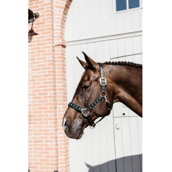 Halster Pearls Kentucky Zwart Halster Pearls Kentucky Zwart