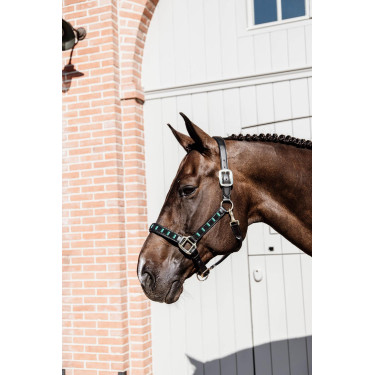 Licol Pearls Kentucky Noir Licol Pearls Kentucky Noir