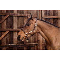 Licol Rope in leer Kentucky Bruin