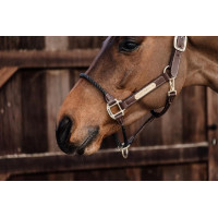 Licol Rope in leer Kentucky Bruin Licol Rope in leer Kentucky Bruin