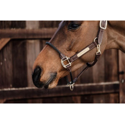 Licol Rope in leer Kentucky Bruin