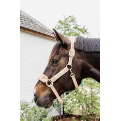 Halster Teddy Fleece Kentucky Halster Teddy Fleece Kentucky