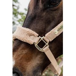Licol Teddy Fleece Kentucky Beige Licol Teddy Fleece Kentucky Beige