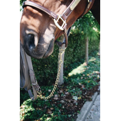 Ketting voor hengst Kentucky Ketting voor hengst Kentucky