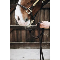 Longeerlijn Loop Basic Kentucky Zwart Longeerlijn Loop Basic Kentucky Zwart