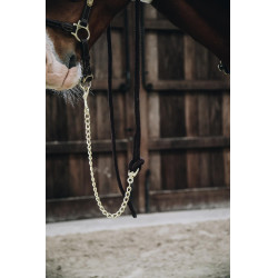 Longe Loop Basic Kentucky Marron