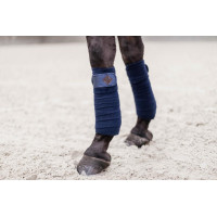 Bandes de polo Polar Fleece Glitter Kentucky Marine Bleu marine