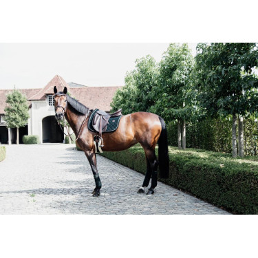 Bandes de polo Polar Fleece Kentucky Vert sapin Bandes de polo Polar Fleece Kentucky Vert sapin