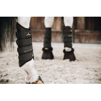 Guêtre Air Tech Eventing postérieures Kentucky Marron