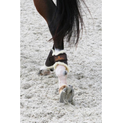 Gesloten peesbeschermers Leer achter kort Kentucky Bruin