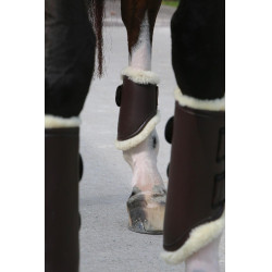 Gesloten peesbeschermers Leer achter kort Kentucky Bruin