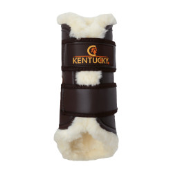 Gesloten peesbeschermers Leer achter Kentucky Bruin
