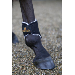 Korte achterste gesloten beenbeschermers Solimbra Kentucky Zwart Korte achterste gesloten beenbeschermers Solimbra Kentucky Zwart