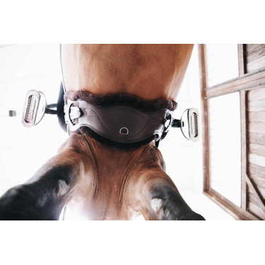 Sangle Anatomique courte mouton Kentucky Marron Sangle Anatomique courte mouton Kentucky Marron