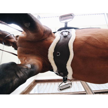 Sangle Anatomique courte mouton Kentucky Marron Sangle Anatomique courte mouton Kentucky Marron