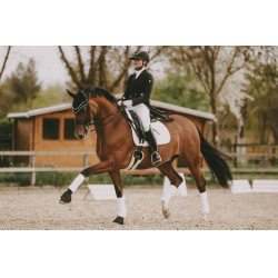 Sangle mouton courte Kentucky Noir