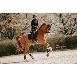 Sangle mouton courte Kentucky Noir