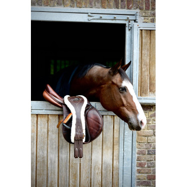 Sangle Anatomique mouton Kentucky Marron Sangle Anatomique mouton Kentucky Marron