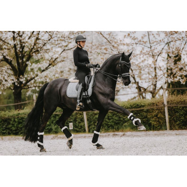 Dressuursingelpad Pied-de-poule Kentucky Zwart Dressuursingelpad Pied-de-poule Kentucky Zwart