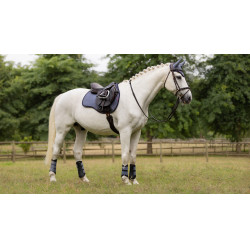 LeMieux Suede GP Vierkant Zadeldek Blauwe gaai