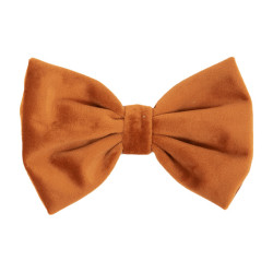 Fluwelen Vlinderdas Kentucky Oranje Fluwelen Vlinderdas Kentucky Oranje