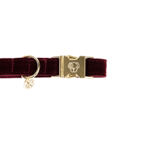 Collier pour chien Corduroy Kentucky Bordeaux Collier pour chien Corduroy Kentucky Bordeaux