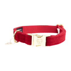 Hondenhalsband Corduroy Kentucky Rood
