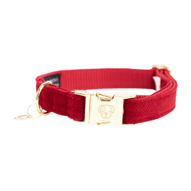 Hondenhalsband Corduroy Kentucky Rood