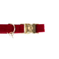 Collier pour chien Corduroy Kentucky Bordeaux Collier pour chien Corduroy Kentucky Bordeaux