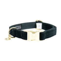 Collier pour chien Corduroy Kentucky Vert sapin Collier pour chien Corduroy Kentucky Vert sapin