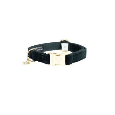 Collier pour chien Corduroy Kentucky Vert sapin