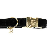 Collier pour chien Corduroy Kentucky Bordeaux Collier pour chien Corduroy Kentucky Bordeaux