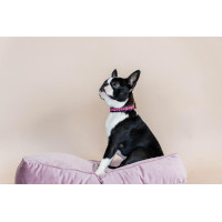 Halsband voor honden van handgemaakte parels Kentucky Roze