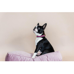 Halsband voor honden van handgemaakte parels Kentucky Roze