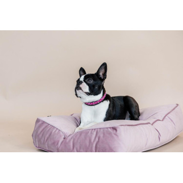 Halsband voor honden van handgemaakte parels Kentucky Roze