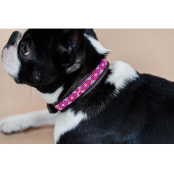 Halsband voor honden van handgemaakte parels Kentucky Roze