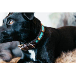 Halsband voor honden van handgemaakte parels Kentucky Lichtblauw Halsband voor honden van handgemaakte parels Kentucky Lichtblauw