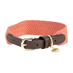 Collier pour chien Jacquard Kentucky Terracotta Orange