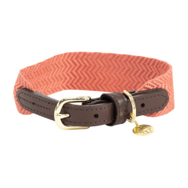 Collier pour chien Jacquard Kentucky Terracotta Orange