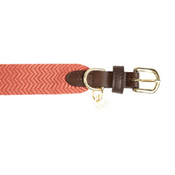 Collier pour chien Jacquard Kentucky Terracotta Orange