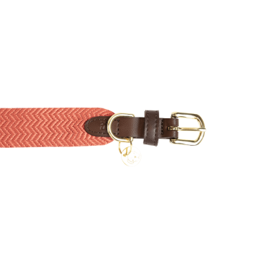 Collier pour chien Jacquard Kentucky Collier pour chien Jacquard Kentucky