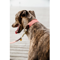 Halsband voor honden Jacquard Kentucky Terracotta Oranje Halsband voor honden Jacquard Kentucky Terracotta Oranje