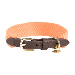 Collier pour chien Jacquard Kentucky Neon orange