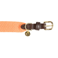 Collier pour chien Jacquard Kentucky Terracotta Orange