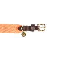 Collier pour chien Jacquard Kentucky Terracotta Orange