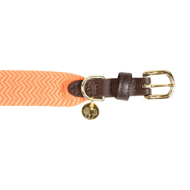 Collier pour chien Jacquard Kentucky Neon orange