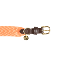 Halsband voor honden Jacquard Kentucky Neon oranje Halsband voor honden Jacquard Kentucky Neon oranje
