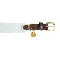 Collier pour chien Jacquard Kentucky Bleu clair Collier pour chien Jacquard Kentucky Bleu clair